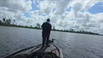 bass