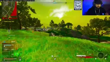livezinha