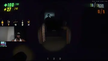 The power of the ducks!!!