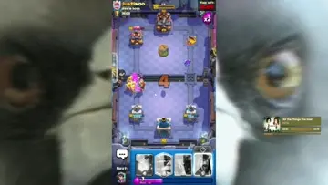 xd