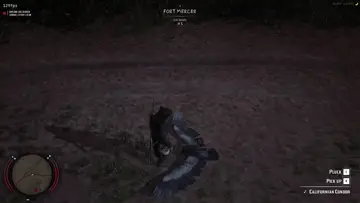 من حماار ايلي؟؟؟ ههههههههههه