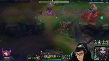 zed insano