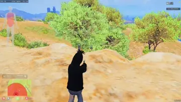 clip