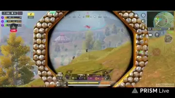 Pinada + Wipe