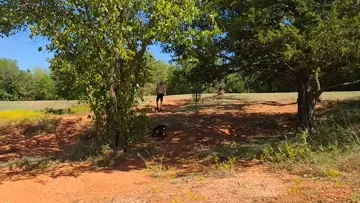 Tree Assist Birdie!