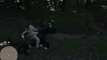 Rawr.mp4