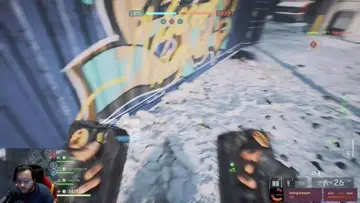 smoke bug