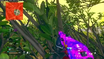 bush playyy