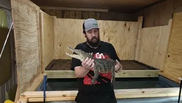 Caring for Venomous snakes | Clip