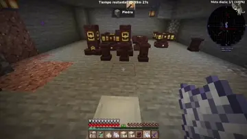 Mapache malvado xD