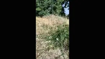 Corriendo 3 kilómetros 