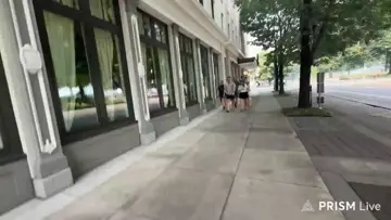 Boxing geese