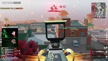 snipes
