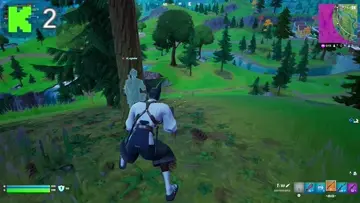 nice snipe