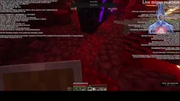 spin domuz