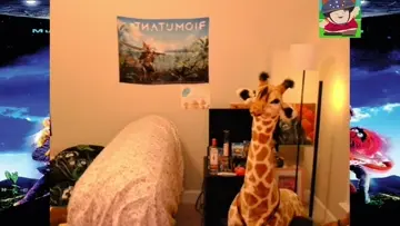 IM A BIRD!