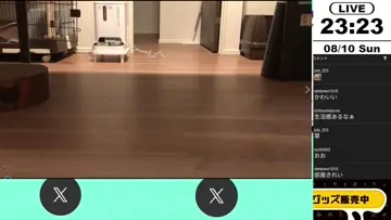 【新カジテツ七不思議!?】放送終わりを察して放送部屋の近くに待機する茶々丸