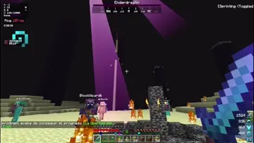 xd