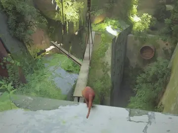 Hoy conocemos como  empieza  esta aventura