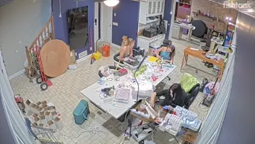 angie vs aryeh