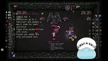 xd