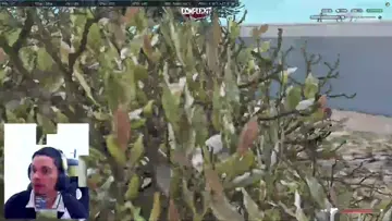tiko e teko fazendo merda kkkkkkk
