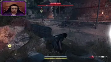 Corre jaja