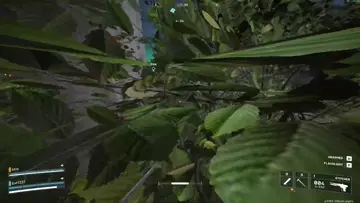 LAST EXTRACT FOR BOUNTY