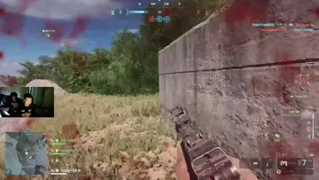 hammer kill