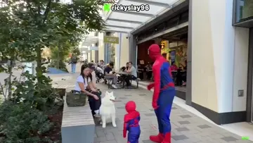daddy and baby spiderman roaming Portland, OR