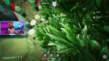 holy shrooms