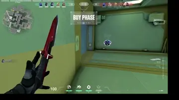 WTF