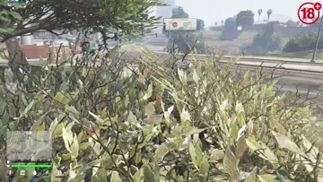 bravo