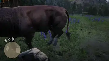 Porfin despues de 30 minutios lo atrape el toro