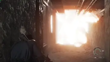 Tarantule v trenkach