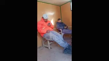 asi son me dejaron re morir estos gatos