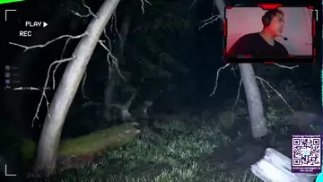 Togheter after dark