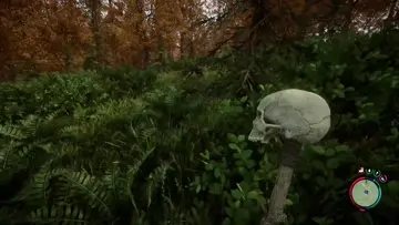Fráňa