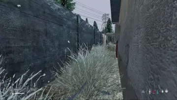 ninja