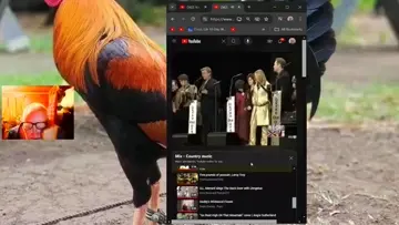 Rabbi Rothschild: discord.gg/pXv9hTu72a