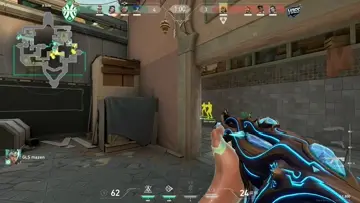 ace zizi