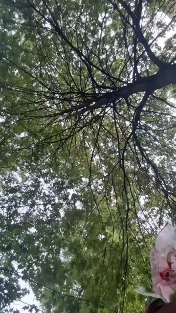 Got hit by car