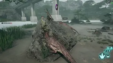 OG MONGMONG