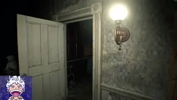 hoyyy
