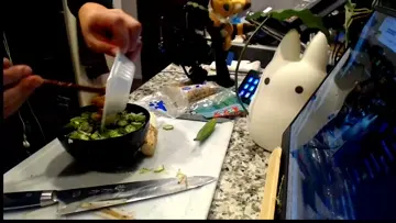 高速丼