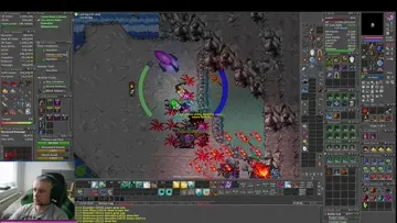 timira bug