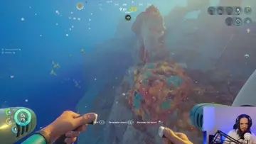 Bug en la bahía lunar