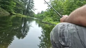 fish it and ship it