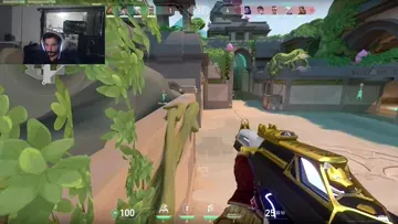 Mouse rage