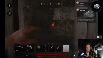 spider scare